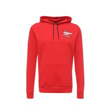 Puma  AFC Graphic Hoody