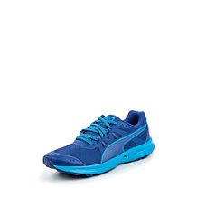 Puma  Descendant TR